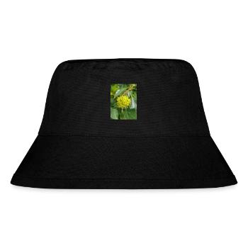 Persischer Efeu (Kolchischer Efeu) - Stanley/Stella recycelter Bucket Hat - Schwarz - Vorne