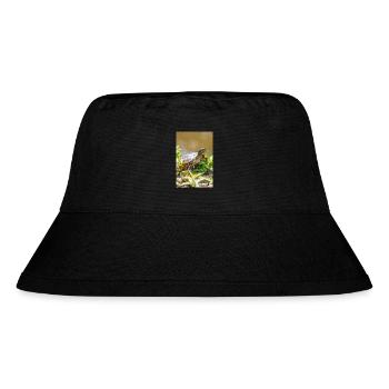 Yellow-bellied slider Gelbbauch-Schmuckschildkröte - Stanley/Stella recycelter Bucket Hat - Schwarz - Vorne