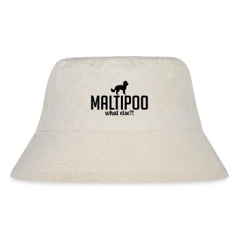 Maltipoo quoi d’autre chien disant chiens - Bob recyclé Stanley/Stella - blanc naturel - Devant