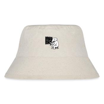 Professor Elephant - Stanley/Stella Recycled Bucket Hat - natural - Front