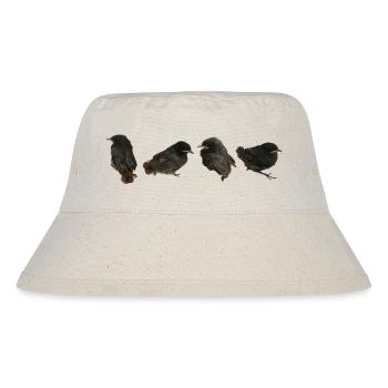 Hausrotschwänzchen Ästlinge - Stanley/Stella recycelter Bucket Hat - Naturweiß - Vorne
