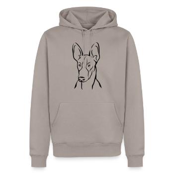 Podenco - Männer Premium Bio Hoodie - Taupe - Vorne - Nico (187cm)