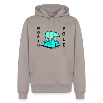 Ours polaire Pôle Nord - Sweat à capuche Premium bio Homme - taupe - Devant - Nico (187cm)