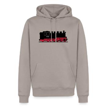 rasender roland - Männer Premium Bio Hoodie - Taupe - Vorne - Nico (187cm)