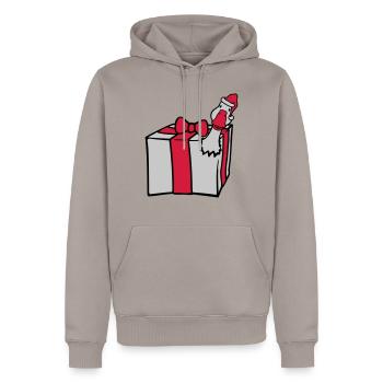 L’oie éclate de cadeau - Sweat à capuche Premium bio Homme - taupe - Devant - Nico (187cm)