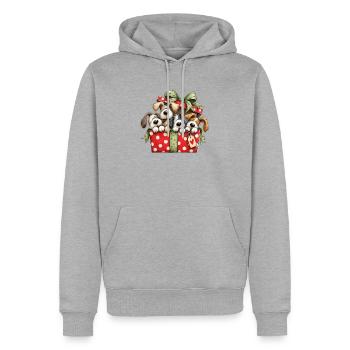 🎁 Weihnachtswelpen - Männer Premium Bio Hoodie - Grau meliert - Vorne - Thijin (182cm)