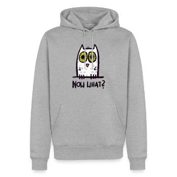 Quoi encore? Drôle de hibou - Sweat à capuche Premium bio Homme - gris chiné - Devant - Thijin (182cm)