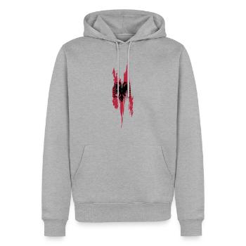Albanian design - Men’s Premium Organic Hoodie - heather grey - Front - Thijin (182cm)