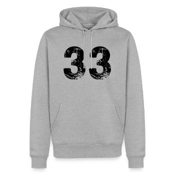 33 - Sweat à capuche Premium bio Homme - gris chiné - Devant - Thijin (182cm)