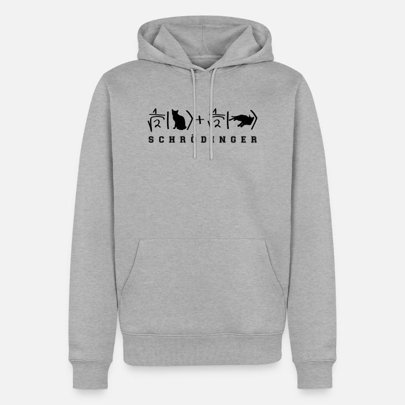 Quantenphysik Schrödinger Katze - Männer Premium Bio Hoodie - Grau meliert
