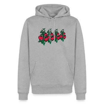 gemüse tomaten - Männer Premium Bio Hoodie - Grau meliert - Vorne - Thijin (182cm)