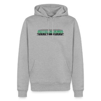 BR 130 côté vert IC inter inter intercity Wismut - Sweat à capuche Premium bio Homme - gris chiné - Devant - Thijin (182cm)