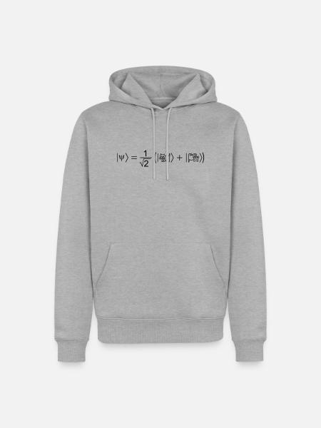 Schrödingers Katze - Männer Premium Bio Hoodie - Grau meliert