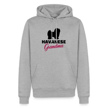 Havanese - Men’s Premium Organic Hoodie - heather grey - Front - Thijin (182cm)
