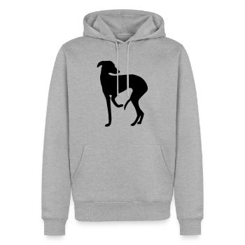 Windspiel - Männer Premium Bio Hoodie - Grau meliert - Vorne - Thijin (182cm)