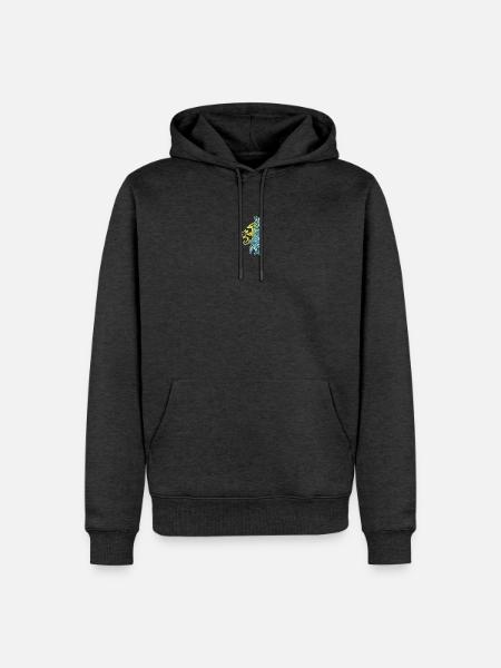 Braunschweig Brunswick Abstrakt Art by Excite Wear - Männer Premium Bio Hoodie - Anthrazit meliert