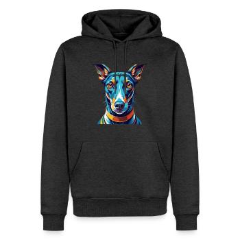 Rampur lévrier chien race coloré dessin animé Kawaii - Sweat à capuche Premium bio Homme - anthracite chiné - Devant - Thijin (182cm)