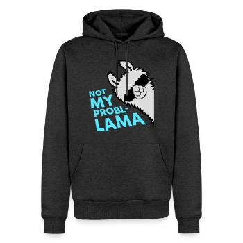 Lama Not My Problama Cool Sonnenbrille Seitlich - Männer Premium Bio Hoodie - Anthrazit meliert - Vorne - Thijin (182cm)