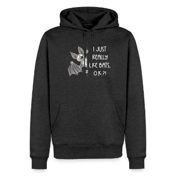 I Just Really Like Bats I Fledermaus Flughund - Männer Premium Bio Hoodie - Anthrazit meliert - Vorne - Thijin (182cm)