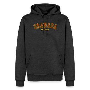 Fondée à Grenade en 1976 - Sweat à capuche Premium bio Homme - anthracite chiné - Devant - Thijin (182cm)