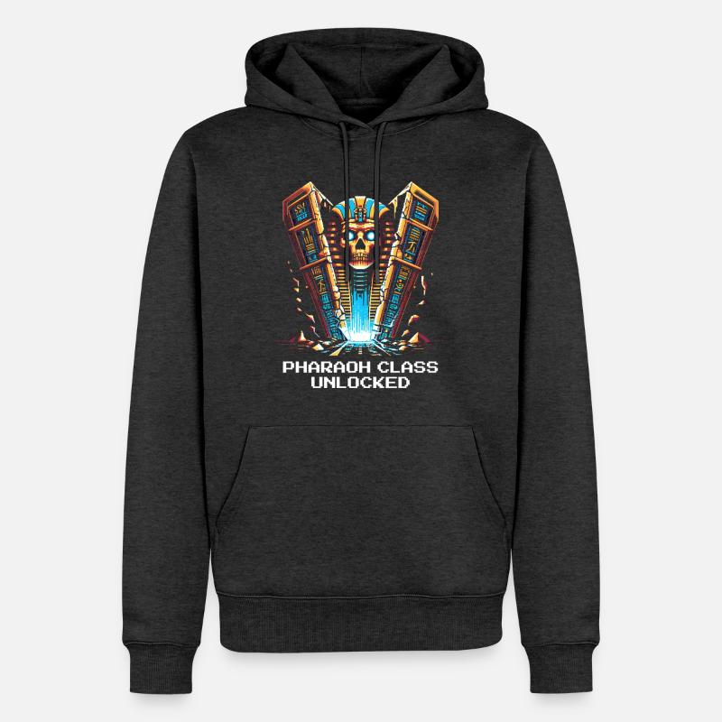 Classe Pharaon débloquée | Égypte, JdR - Sweat à capuche Premium bio Homme - anthracite chiné