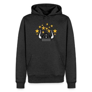 Wikinger Idee - Männer Premium Bio Hoodie - Anthrazit meliert - Vorne - Thijin (182cm)