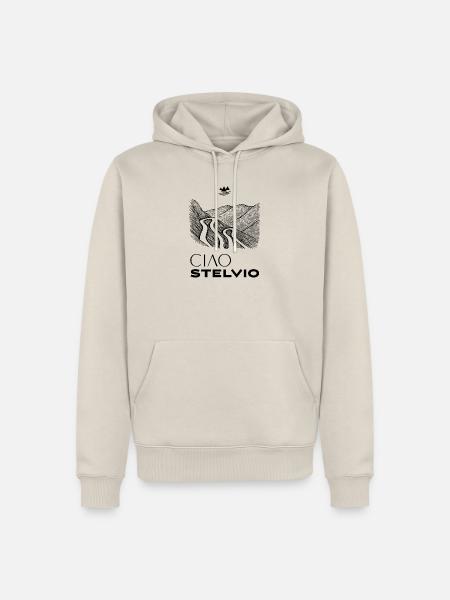 Ciao Stelvio Straßenverlauf - Männer Premium Bio Hoodie - Beige
