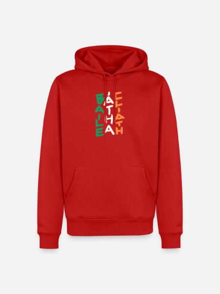 Dublin - Baile Átha Cliath - Männer Premium Bio Hoodie - Rot