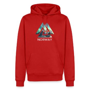 Valknut Norvégie Aurores boréales Celtiques - Sweat à capuche Premium bio Homme - rouge - Devant - Nico (187cm)