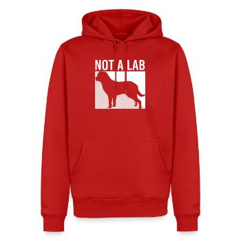 Chesapeake Bay Retriever - Männer Premium Bio Hoodie - Rot - Vorne - Nico (187cm)