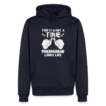 Panama Flagge Panamaisch Panama Fahne - Männer Premium Bio Hoodie - Navy - Vorne - Nico (187cm)