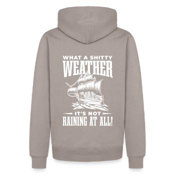 Was Für Ein Beschissenes Wetter Es Überhaupt Nicht - Männer Premium Bio Hoodie - Taupe - Hinten - Nico (187cm)
