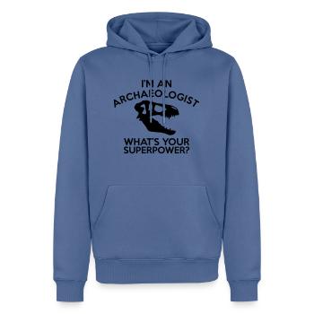 ARCHÄOLOGIST SUPERPOWER - Männer Premium Bio Hoodie - Taubenblau - Vorne - Nico (187cm)