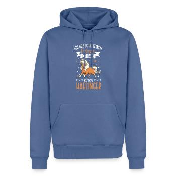 Ich brauche keinen Prinzen - Haflinger - Männer Premium Bio Hoodie - Taubenblau - Vorne - Nico (187cm)