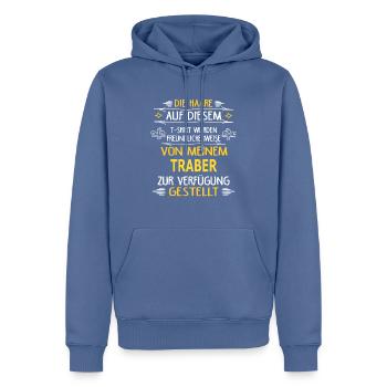 TRABER - Männer Premium Bio Hoodie - Taubenblau - Vorne - Nico (187cm)