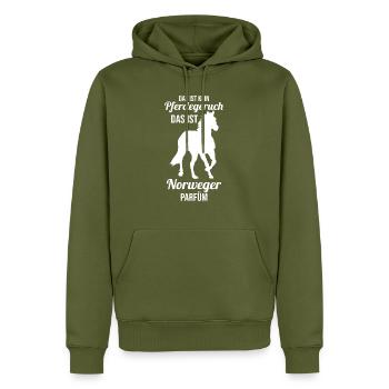 Pferd Reitsport Reiten Pferdesport Norweger - Männer Premium Bio Hoodie - Khaki - Vorne - Nico (187cm)