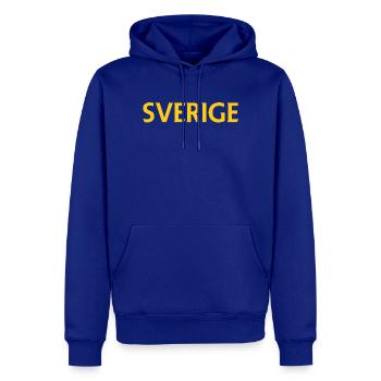 Icône de navire Vasa aux douces couleurs pastel - Sweat à capuche Premium bio Homme - bleu roi - Devant - Nico (187cm)