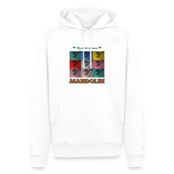 Mandolin - My favorite INstrument (mit Collage) - Männer Premium Bio Hoodie - Weiß - Vorne - Nico (187cm)