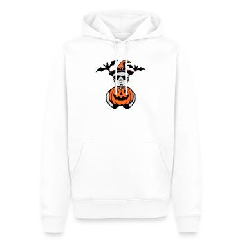 Lama Cool Halloween Lunettes de soleil citrouille Chapeau de sorcière - Sweat à capuche Premium bio Homme - blanc - Devant - Nico (187cm)