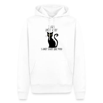 Cadeau de chats mignons pour les chats misanthropes - Sweat à capuche Premium bio Homme - blanc - Devant - Nico (187cm)