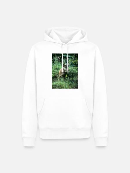 Rothirsch in junger Fichtenschonung - Männer Premium Bio Hoodie - Weiß