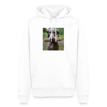 Delta mit Stöckchen - Männer Premium Bio Hoodie - Weiß - Vorne - Nico (187cm)