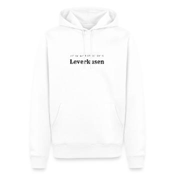 Coordonnées Leverkusen - Sweat à capuche Premium bio Homme - blanc - Devant - Nico (187cm)