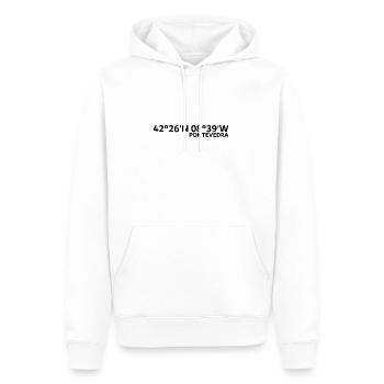 Pontevedra Koordinaten - Männer Premium Bio Hoodie - Weiß - Vorne - Nico (187cm)