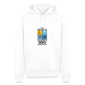 Meteorologie Wortspiel Für Meteorologe - Männer Premium Bio Hoodie - Weiß - Vorne - Nico (187cm)