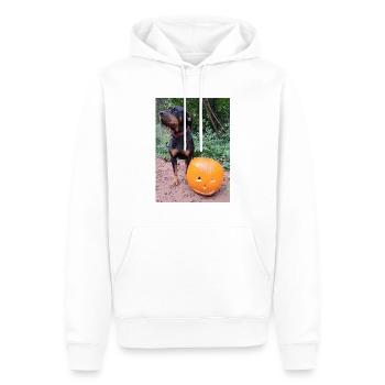 Kürbis Hund Halloween Herbst - Männer Premium Bio Hoodie - Weiß - Vorne - Nico (187cm)