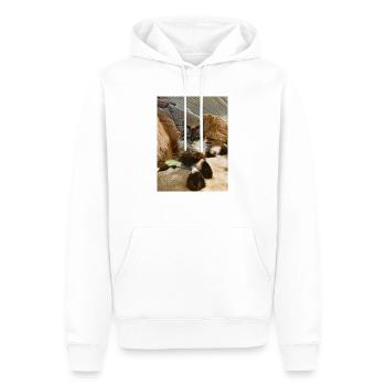 Bobby - Männer Premium Bio Hoodie - Weiß - Vorne - Nico (187cm)