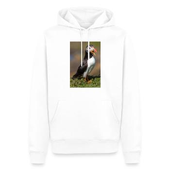 Papageitaucher - Männer Premium Bio Hoodie - Weiß - Vorne - Nico (187cm)