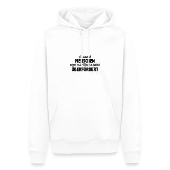 Lustiger Mathe Mathematik Spruch - Männer Premium Bio Hoodie - Weiß - Vorne - Nico (187cm)