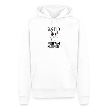 Montag Spruch Yoga Hund - Männer Premium Bio Hoodie - Weiß - Vorne - Nico (187cm)